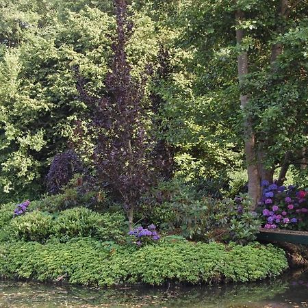 Blokhut De Vlinder Gelegen Nabij Het Pieterpad Villa Coevorden Exteriör bild